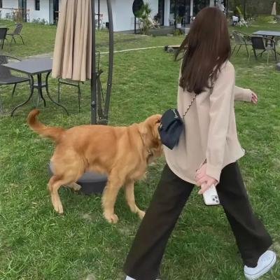 旧爱来找碴