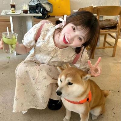 陈辰全明星
